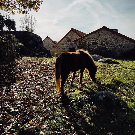 Casas Japoneiras Landhuis *