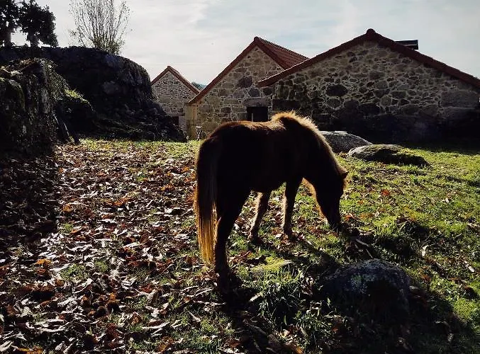 Casas Japoneiras Venkovský dům *