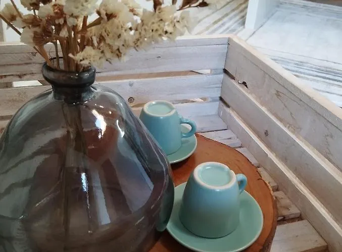 Casas Japoneiras Paredes de Coura